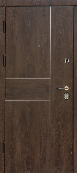 Входная дверь Корица