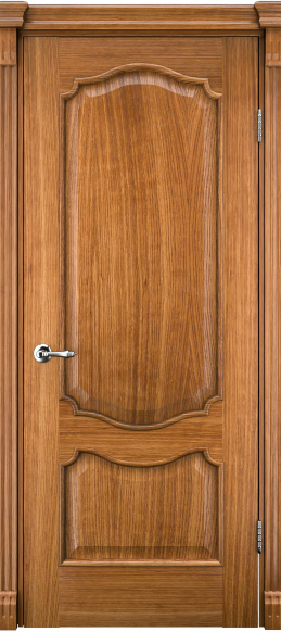 Міжкімнатні двері Terminus Caro 41 ПГ