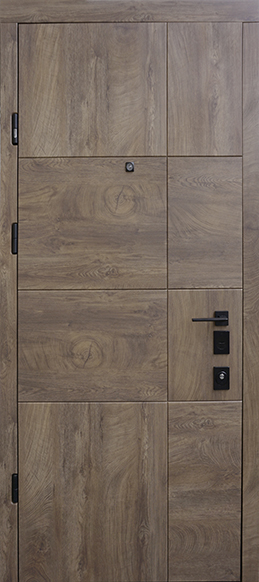 Входные двери Terra S New Prestige Страж