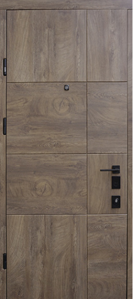 Входные двери Terra S New Prestige Страж