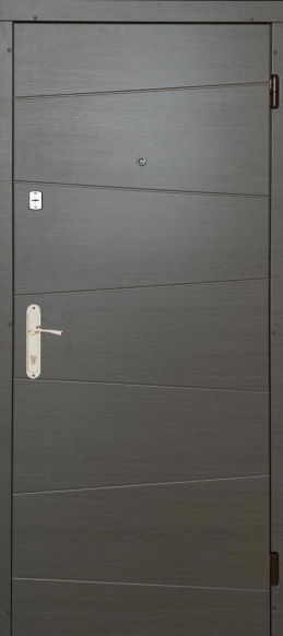 Входные двери Мида Эконом Редфорт