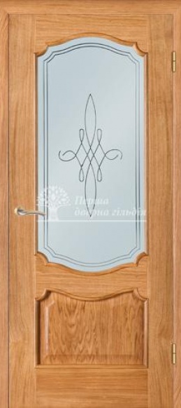 Міжкімнатні двері Terminus Caro 41 ПО дуб