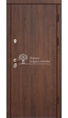 Входная дверь Готика